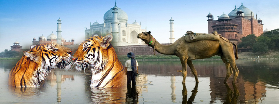 Golden Triangle (Agra, Sariska & Jaipur)